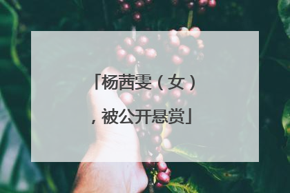 杨茜雯（女），被公开悬赏