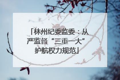 林州纪委监委：从严监督“三重一大” 护航权力规范