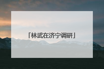 林武在济宁调研