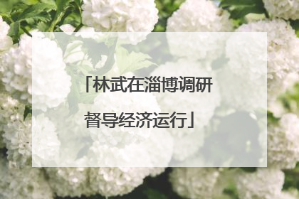 林武在淄博调研督导经济运行