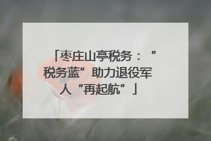 枣庄山亭税务：“税务蓝”助力退役军人“再起航”