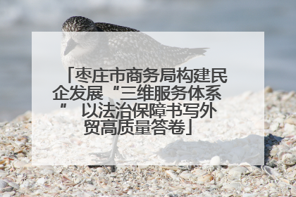 枣庄市商务局构建民企发展“三维服务体系” 以法治保障书写外贸高质量答卷