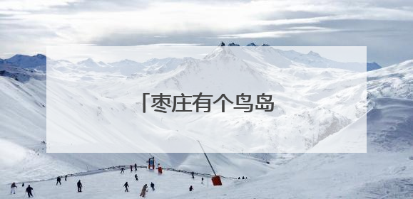 枣庄有个鸟岛，白鹭成群！