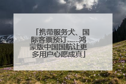 携带服务犬、国际客票预订……鸿蒙版中国国航让更多用户心愿成真