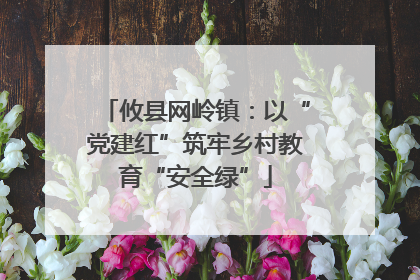 攸县网岭镇：以“党建红”筑牢乡村教育“安全绿”