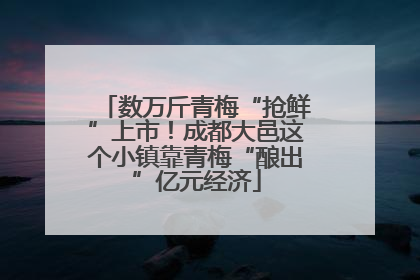 数万斤青梅“抢鲜”上市！成都大邑这个小镇靠青梅“酿出”亿元经济