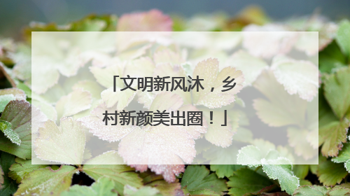 文明新风沐，乡村新颜美出圈！