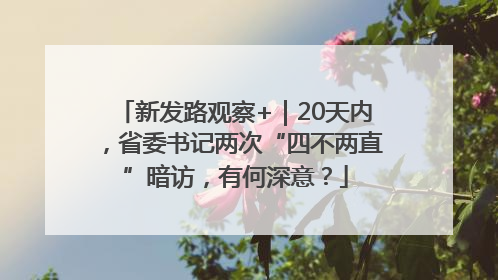 新发路观察+｜20天内，省委书记两次“四不两直”暗访，有何深意？