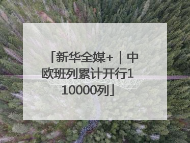 新华全媒+｜中欧班列累计开行110000列