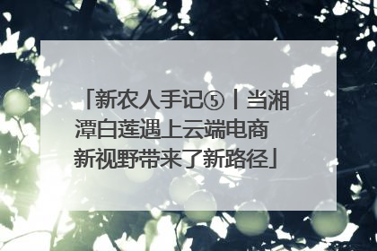 新农人手记⑤丨当湘潭白莲遇上云端电商 新视野带来了新路径