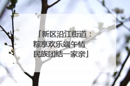 新区沿江街道：粽享欢乐端午情 民族团结一家亲