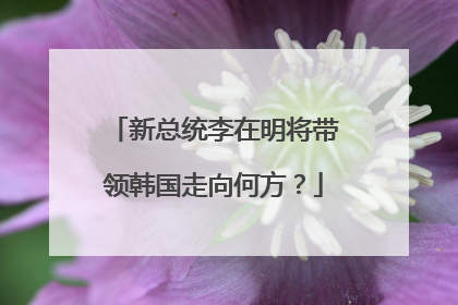 新总统李在明将带领韩国走向何方？