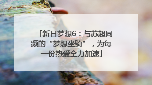 新日梦想6：与苏超同频的“梦想坐骑”，为每一份热爱全力加速