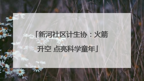 新河社区计生协：火箭升空 点亮科学童年