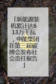 新能源装机累计达613万千瓦，申能集团在第三届碳博会发布社会责任报告