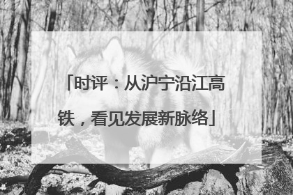时评：从沪宁沿江高铁，看见发展新脉络