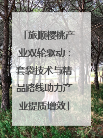 旅顺樱桃产业双轮驱动：套袋技术与精品路线助力产业提质增效