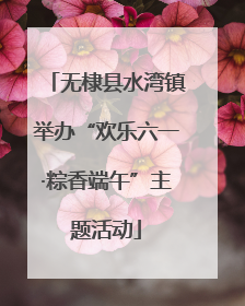 无棣县水湾镇举办“欢乐六一·粽香端午”主题活动