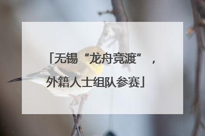 无锡“龙舟竞渡”，外籍人士组队参赛