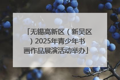 无锡高新区（新吴区）2025年青少年书画作品展演活动举办