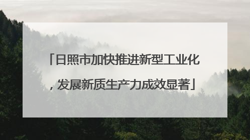 日照市加快推进新型工业化，发展新质生产力成效显著