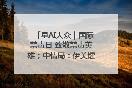 早AI大众｜国际禁毒日 致敬禁毒英雄；中情局：伊关键核设施被摧毁