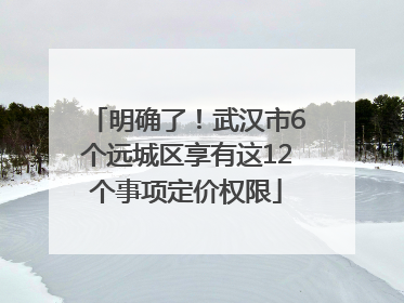明确了！武汉市6个远城区享有这12个事项定价权限