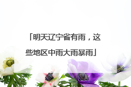 明天辽宁省有雨，这些地区中雨大雨暴雨