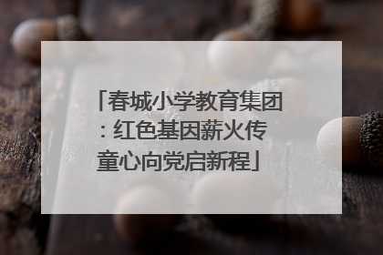 春城小学教育集团：红色基因薪火传 童心向党启新程