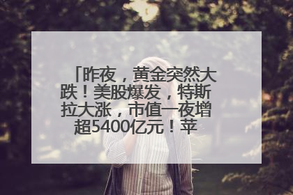 昨夜，黄金突然大跌！美股爆发，特斯拉大涨，市值一夜增超5400亿元！苹果传来大消息