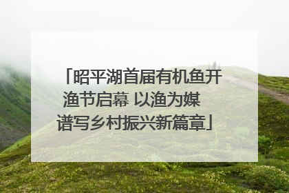 昭平湖首届有机鱼开渔节启幕 以渔为媒 谱写乡村振兴新篇章