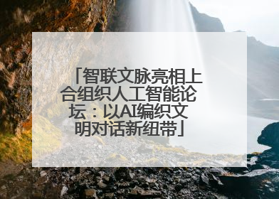 智联文脉亮相上合组织人工智能论坛：以AI编织文明对话新纽带