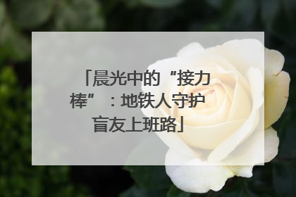 晨光中的“接力棒”：地铁人守护盲友上班路