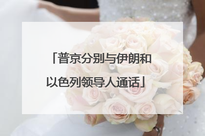 普京分别与伊朗和以色列领导人通话