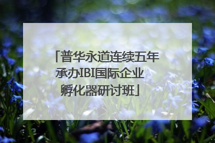 普华永道连续五年承办IBI国际企业孵化器研讨班