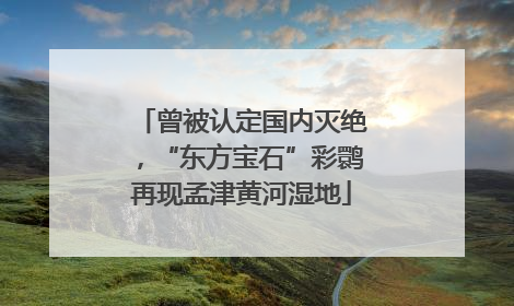 曾被认定国内灭绝，“东方宝石”彩鹮再现孟津黄河湿地