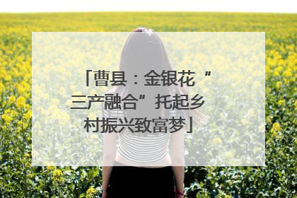 曹县：金银花“三产融合”托起乡村振兴致富梦