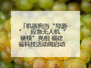 机器狗当“导游”、应急无人机“硬核”亮相 福建省科技活动周启动 百余项特色活动酷炫来袭