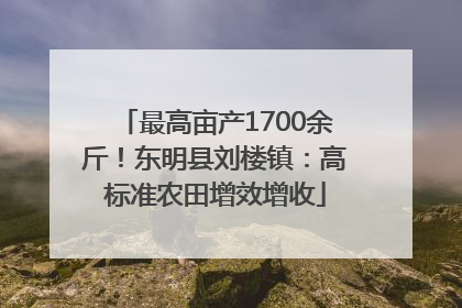 最高亩产1700余斤！东明县刘楼镇：高标准农田增效增收