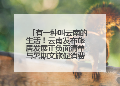 有一种叫云南的生活！云南发布旅居发展正负面清单与暑期文旅促消费“组合拳”