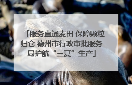 服务直通麦田 保障颗粒归仓 德州市行政审批服务局护航“三夏”生产