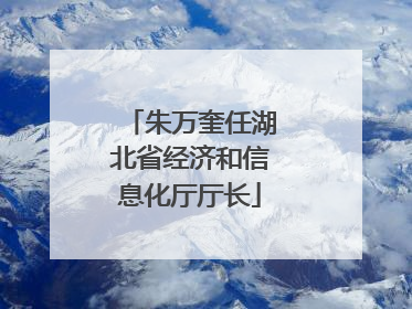朱万奎任湖北省经济和信息化厅厅长