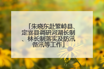 朱晓东赴繁峙县、定襄县调研河湖长制、林长制落实及防汛备汛等工作