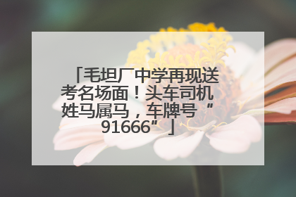 毛坦厂中学再现送考名场面！头车司机姓马属马，车牌号“91666”
