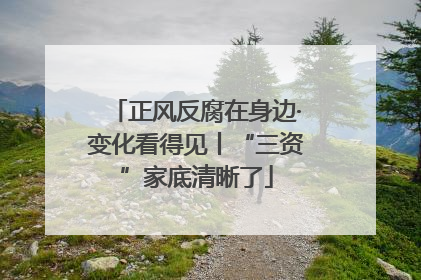 正风反腐在身边·变化看得见丨“三资”家底清晰了