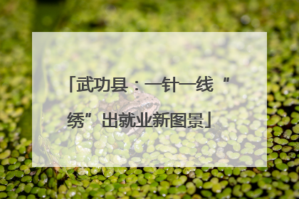 武功县：一针一线“绣”出就业新图景
