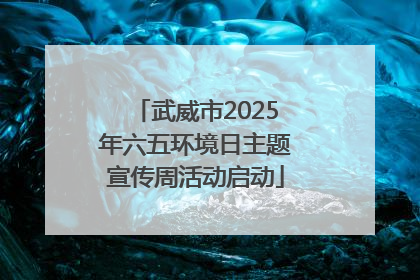 武威市2025年六五环境日主题宣传周活动启动
