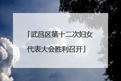 武昌区第十二次妇女代表大会胜利召开