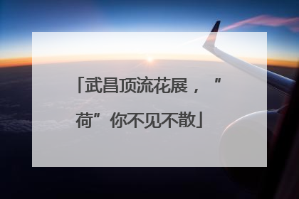 武昌顶流花展，“荷”你不见不散