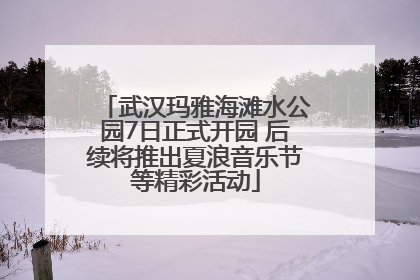 武汉玛雅海滩水公园7日正式开园 后续将推出夏浪音乐节等精彩活动